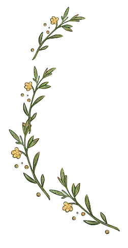 花草藤蔓裝飾（左）